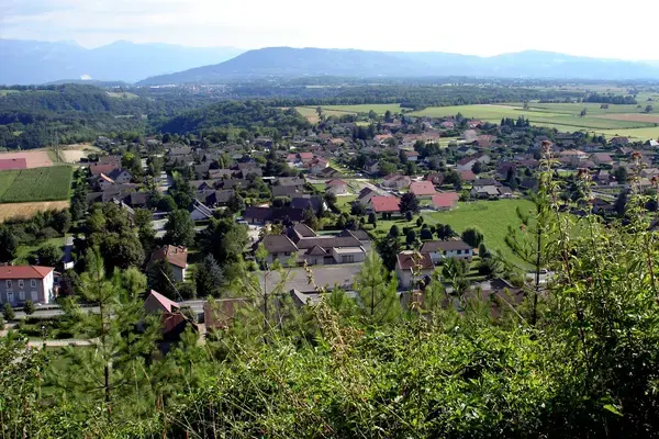 Monte Escalier Assistance Installateur Monte escalier Apprieu