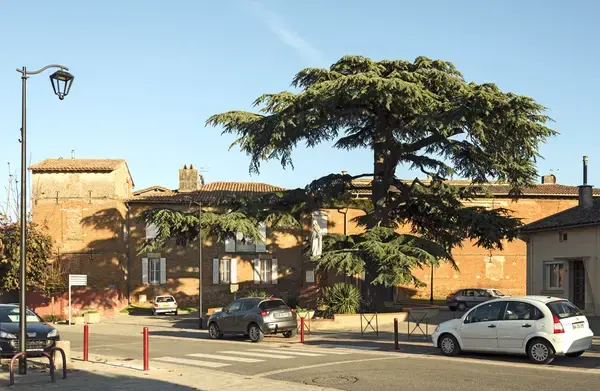 Monte Escalier Assistance Installateur Monte escalier Aussonne