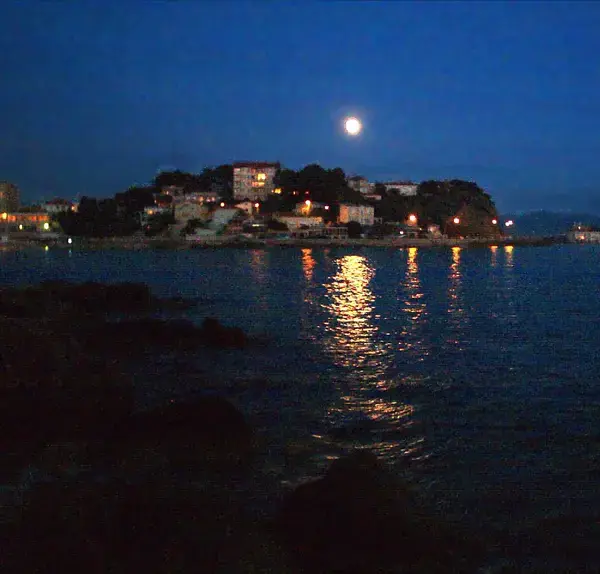 Monte Escalier Assistance Installateur Monte escalier Bandol