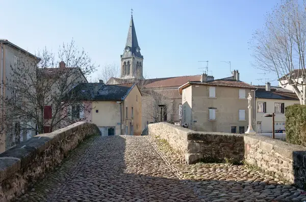 Monte Escalier Assistance Installateur Monte escalier Brignais