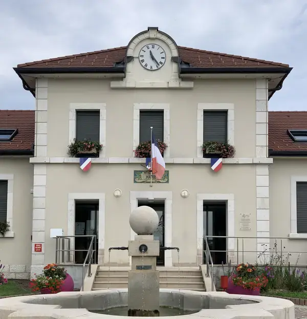 Monte Escalier Assistance Installateur Monte escalier Cessy