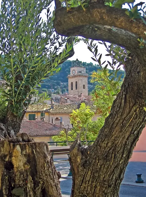 Monte Escalier Assistance Installateur Monte escalier Ceyreste