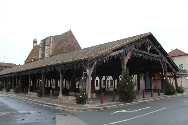 Monte Escalier Assistance Installateur Monte escalier Châtillon-sur-Chalaronne