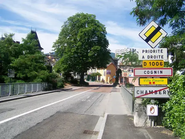 Monte Escalier Assistance Installateur Monte escalier Cognin