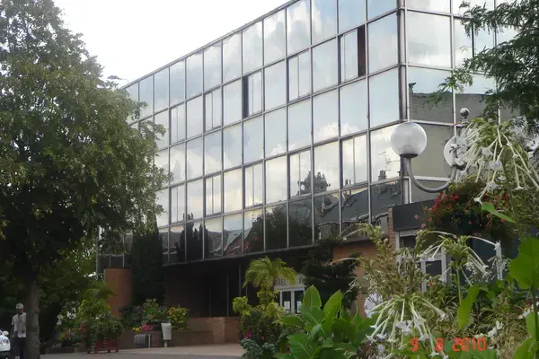 Monte Escalier Assistance Installateur Monte escalier Denain