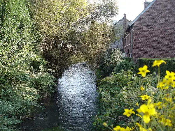 Monte Escalier Assistance Installateur Monte escalier Déville-lès-Rouen