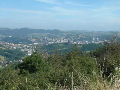 Monte Escalier Assistance Installateur Monte escalier Firminy