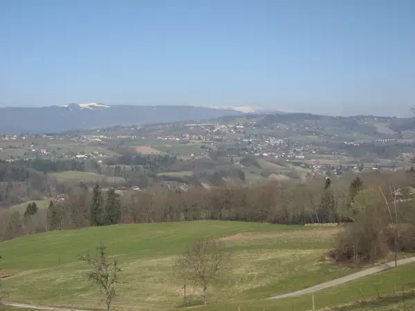 Monte Escalier Assistance Installateur Monte escalier Groisy