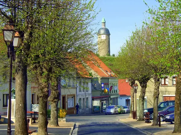 Monte Escalier Assistance Installateur Monte escalier Guînes