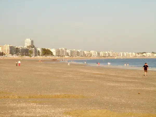 Monte Escalier Assistance Installateur Monte escalier La Baule-Escoublac