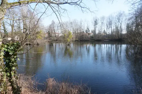 Monte Escalier Assistance Installateur Monte escalier La Chapelle-Saint-Luc