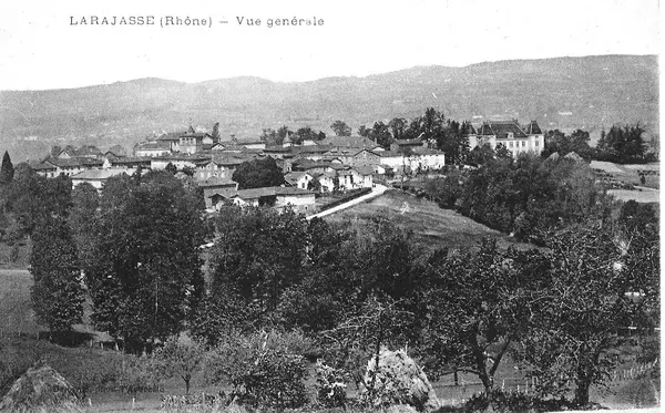 Monte Escalier Assistance Installateur Monte escalier Larajasse