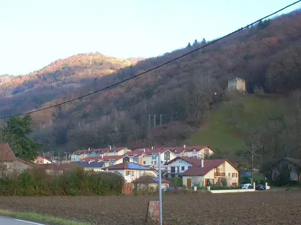 Monte Escalier Assistance Installateur Monte escalier Le Versoud