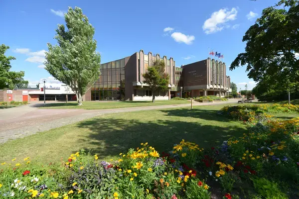 Monte Escalier Assistance Installateur Monte escalier Leffrinckoucke