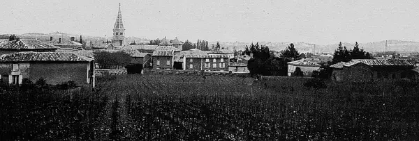 Monte Escalier Assistance Installateur Monte escalier Limas