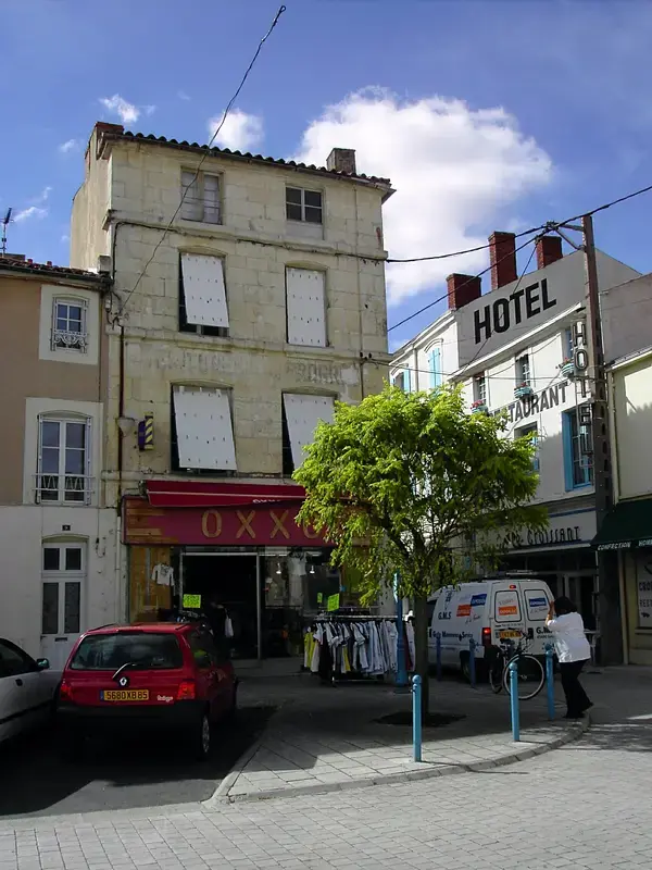 Monte Escalier Assistance Installateur Monte escalier Luçon