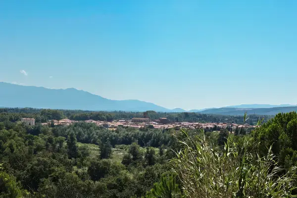 Monte Escalier Assistance Installateur Monte escalier Millas