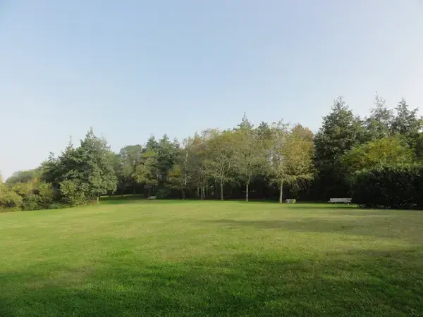 Monte Escalier Assistance Installateur Monte escalier Montigny-en-Gohelle