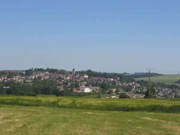 Monte Escalier Assistance Installateur Monte escalier Montmirail