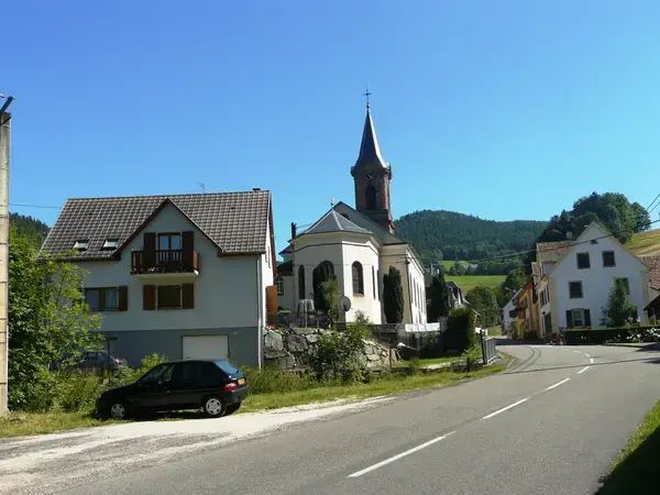 Monte Escalier Assistance Installateur Monte escalier Orbey