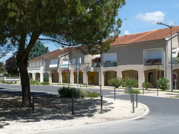 Monte Escalier Assistance Installateur Monte escalier Pineuilh