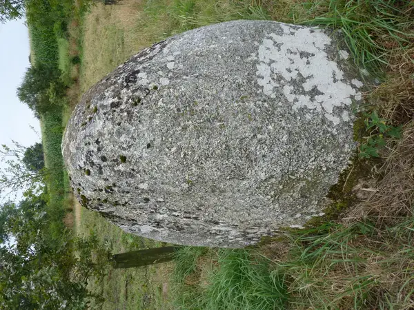 Monte Escalier Assistance Installateur Monte escalier Plaintel