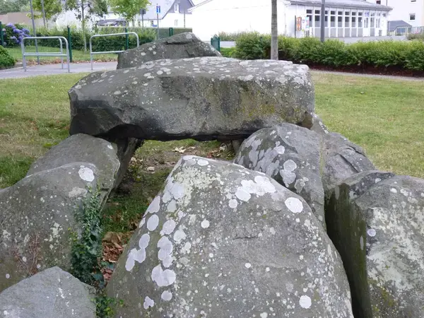 Monte Escalier Assistance Installateur Monte escalier Ploufragan