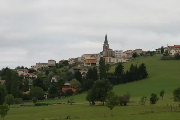Monte Escalier Assistance Installateur Monte escalier Saint-Christo-en-Jarez