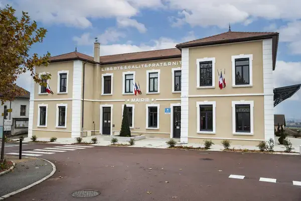 Monte Escalier Assistance Installateur Monte escalier Satolas-et-Bonce