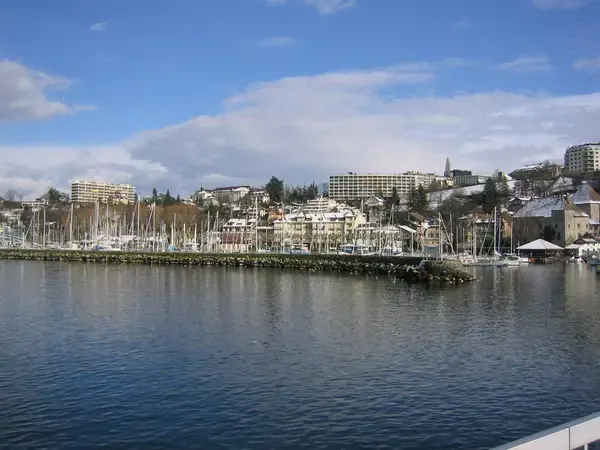 Monte Escalier Assistance Installateur Monte escalier Thonon-les-Bains