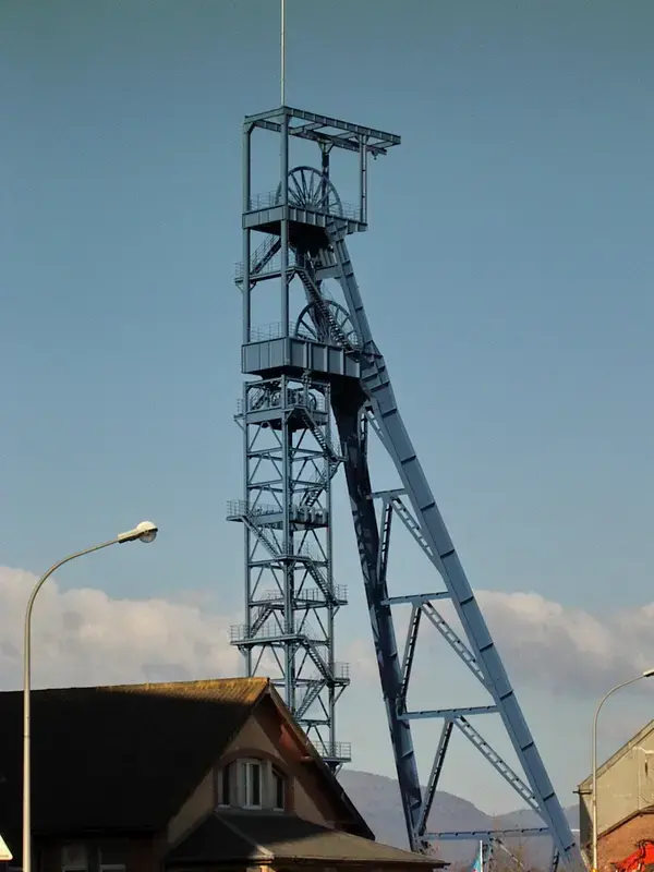 Monte Escalier Assistance Installateur Monte escalier Wittenheim